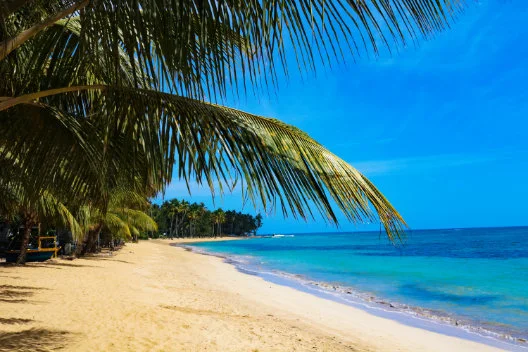 Surroundings of Pueblo de los Pescadores in Las Terrenas